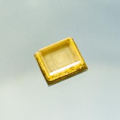 t_6204c1deb7a84